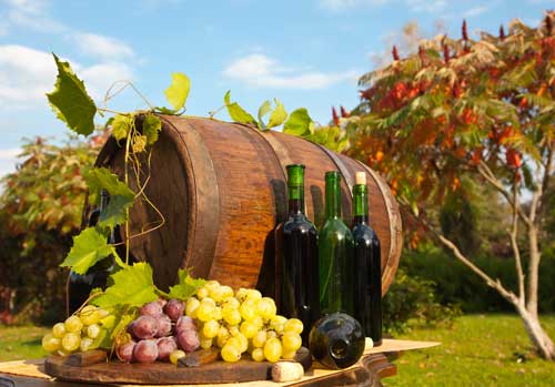 Georgia farm wineries need to obtain a surety bond.