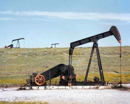 oil pumps in a field