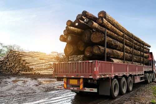 A truck is loaded with timber